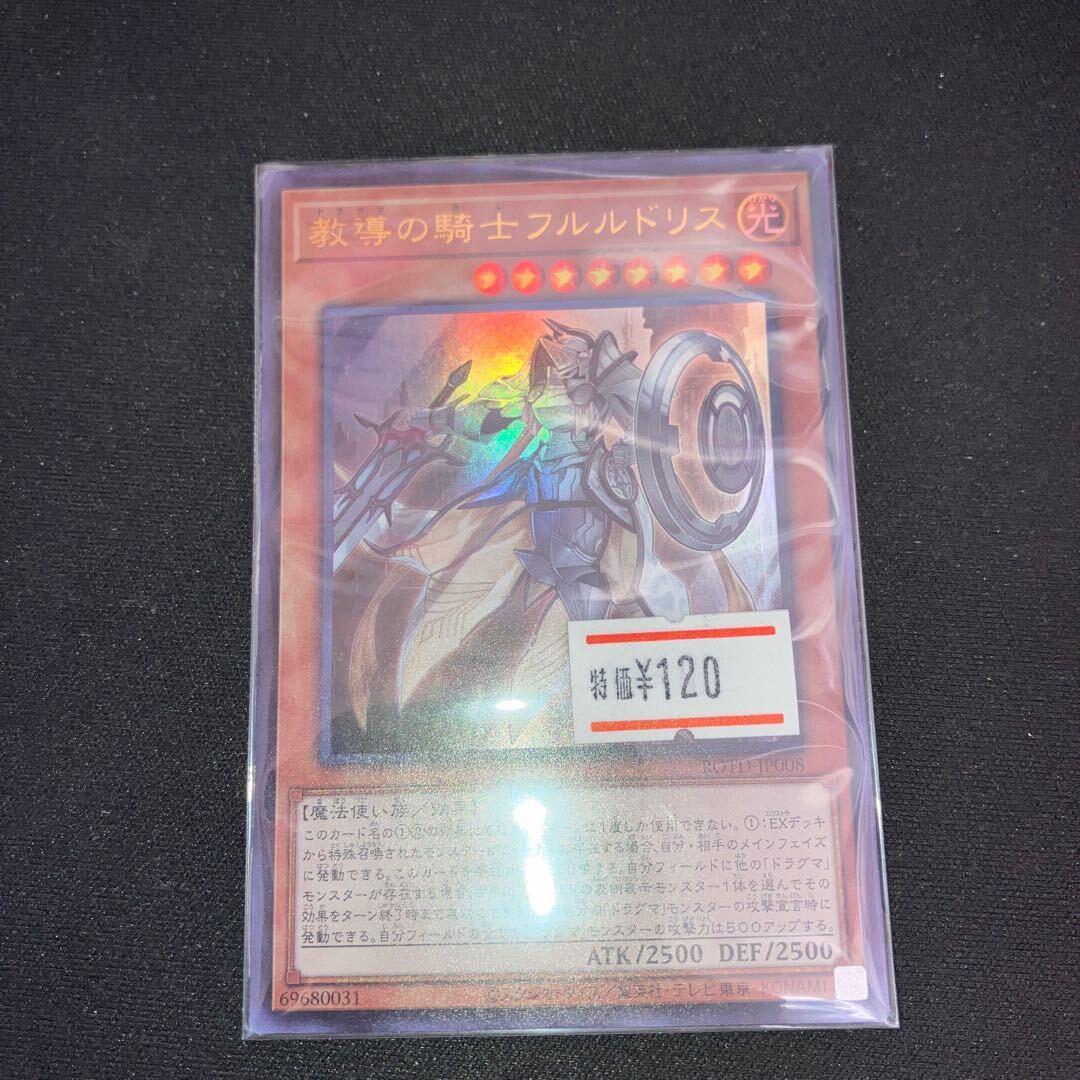 教導の騎士フルルドリス