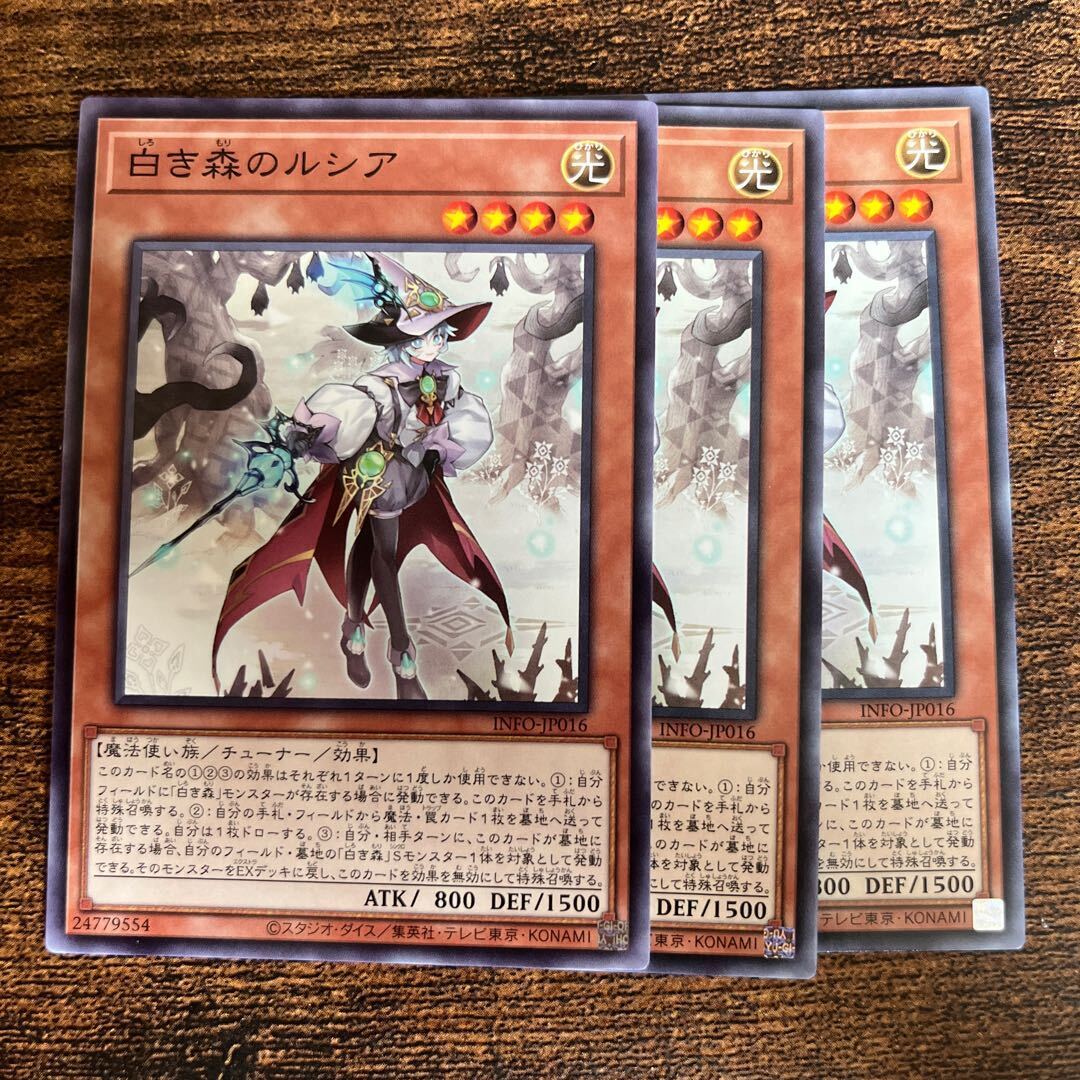 白き森のルシア