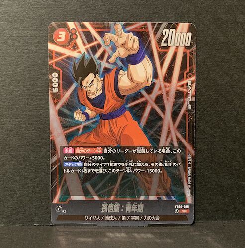 孫悟飯：青年期