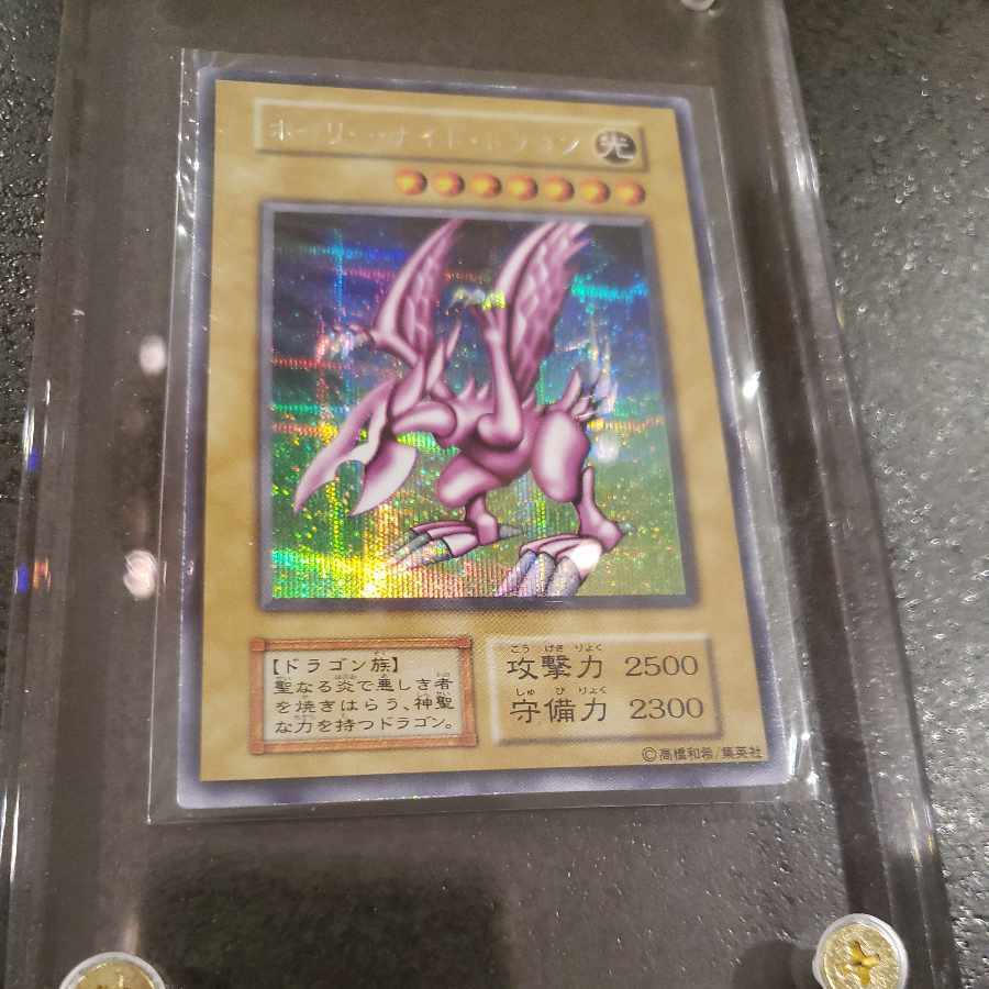 ホーリーナイトドラゴン 初期