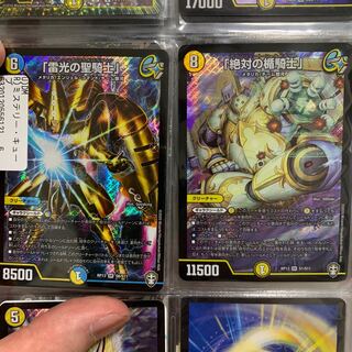 雷光の聖騎士 絶対の楯騎士セット