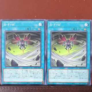 B・F・W ノーマル ROTA-JP052