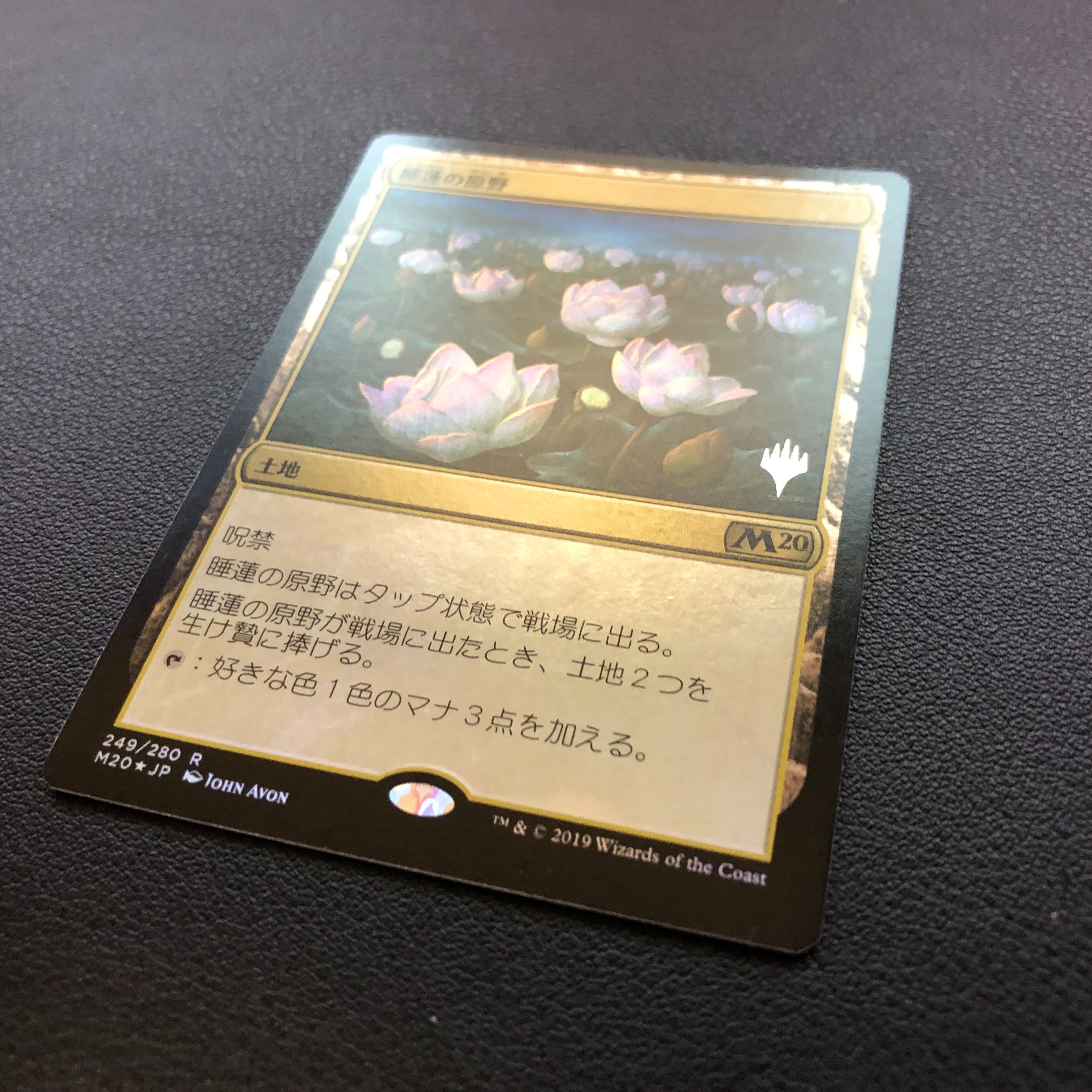 睡蓮の原野　FOIL　日本語