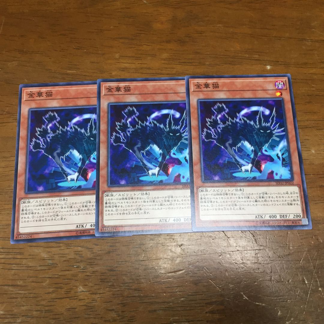 金華猫 N 3枚 fdkj1920