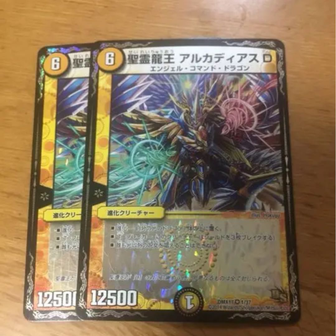 最安値 聖霊龍王 アルカディアスD