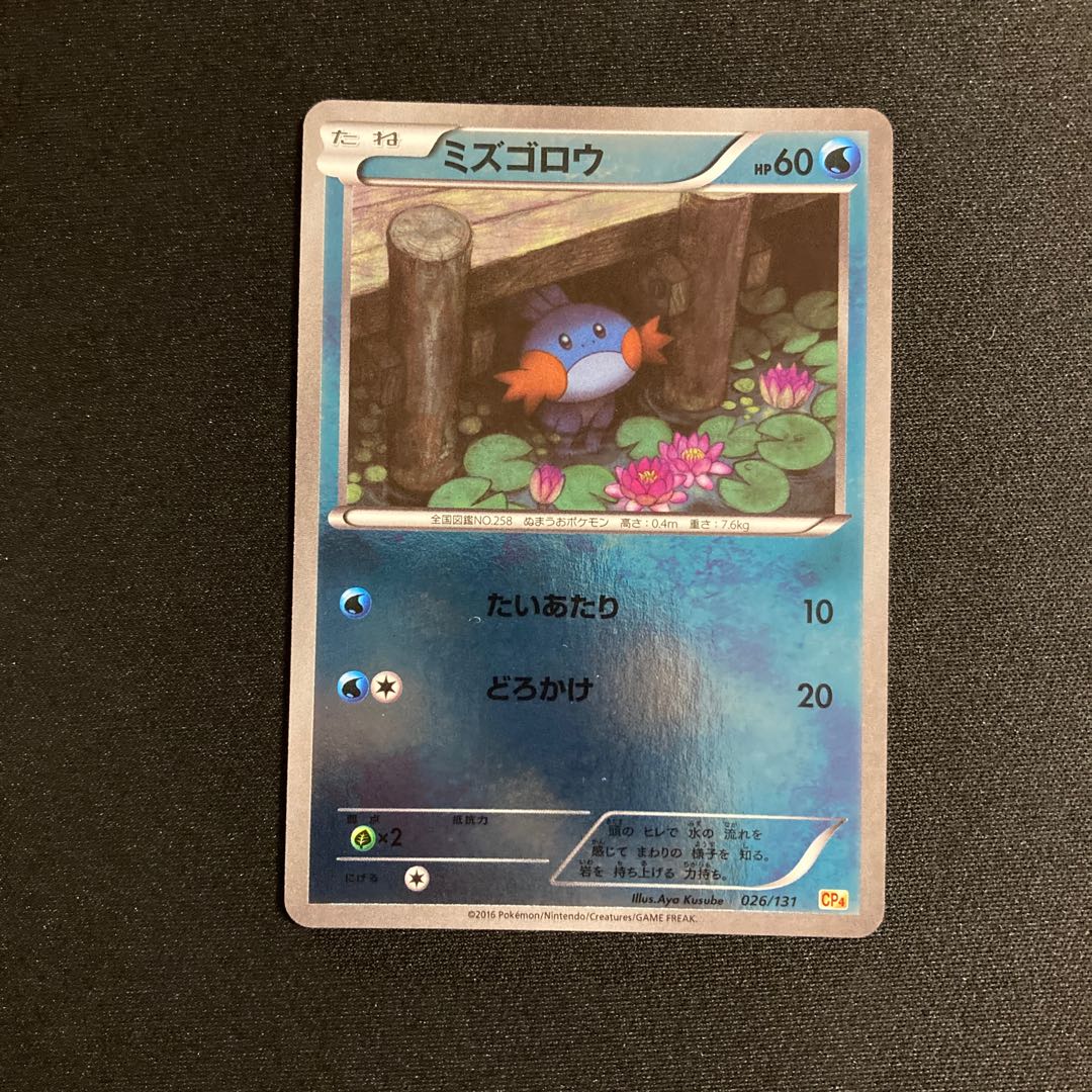 f382 Mudkip CP4 Premium Champion Pack Pokémon Treasurer