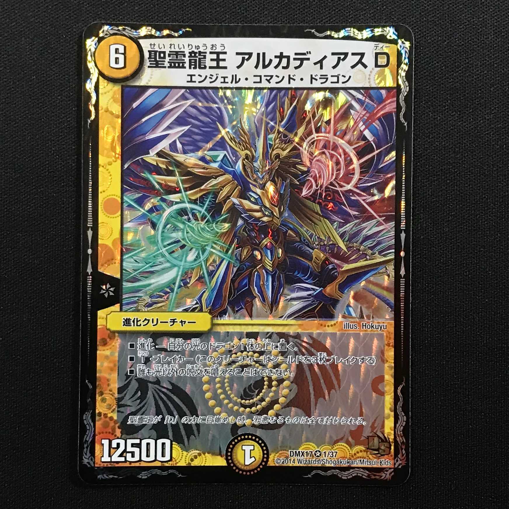 聖霊龍王 アルカディアスD