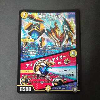 奇石 トランキー｜アイ・オブ・ザ・タイガー