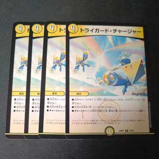 Triguard Charger R 27/60 Set of 4