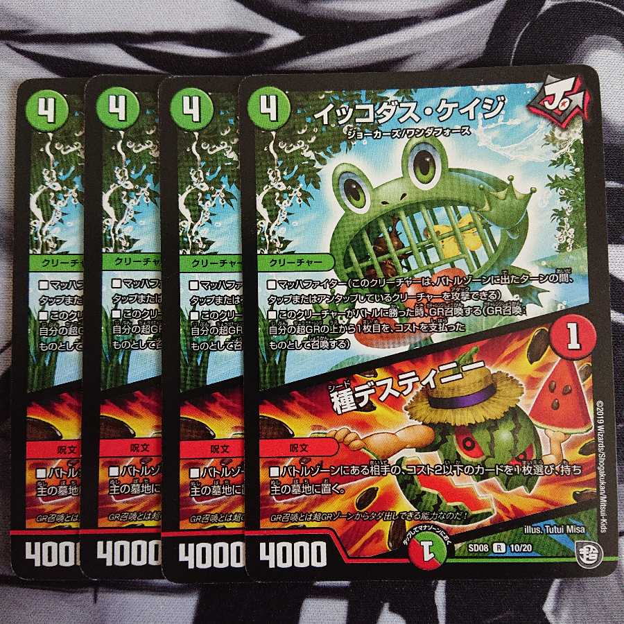イッコダス・ケイジ｜種デスティニー