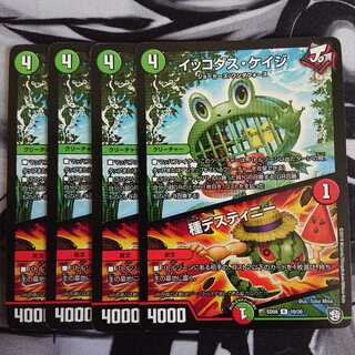 イッコダス・ケイジ｜種デスティニー