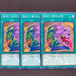 強欲で貪欲な壺　3枚セット