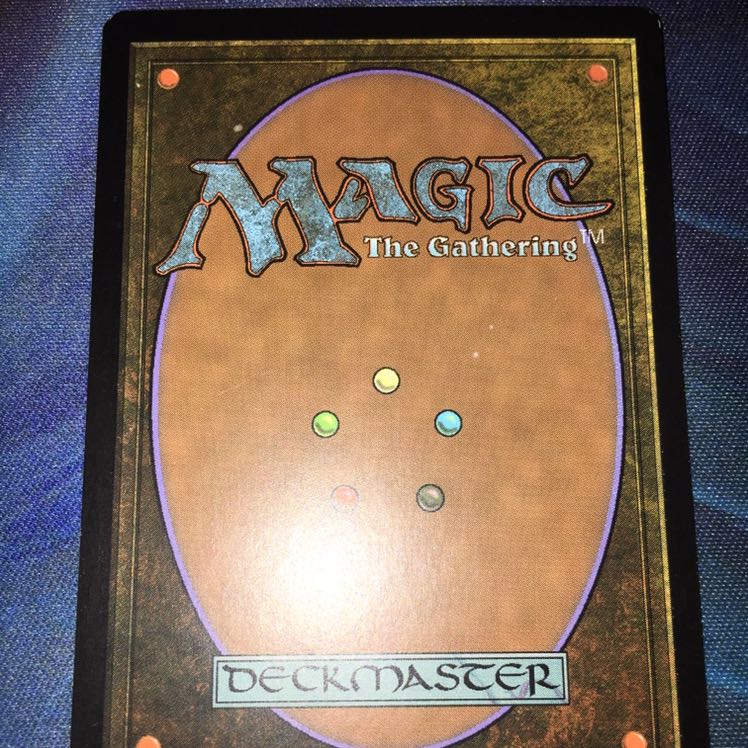 実物提示教育　ジャッジ褒賞　2枚