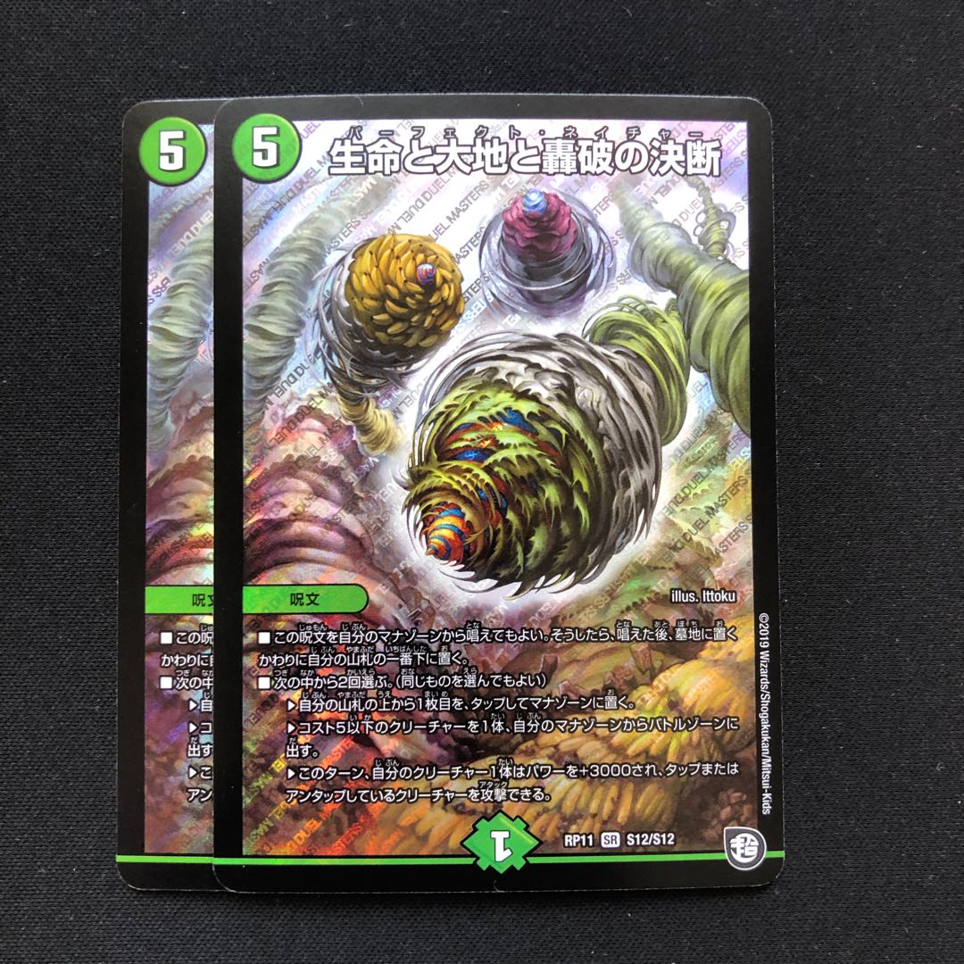 生命と大地と轟破の決断