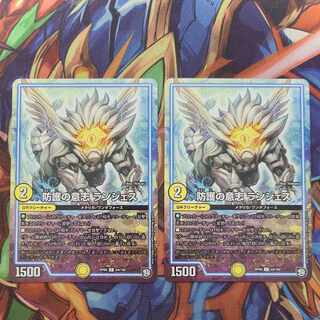 防護の意志 ランジェス C 64/102