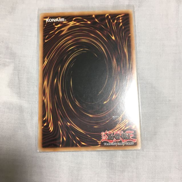 エビルナイト・ドラゴン　米シク