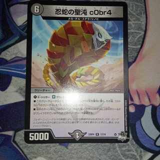 忍蛇の聖沌 c0br4 R 17/74