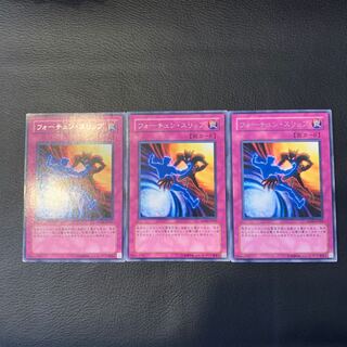 フォーチュン・スリップ R