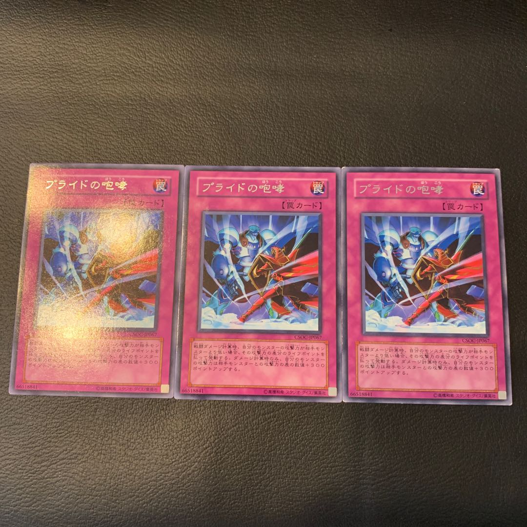 プライドの咆哮 R