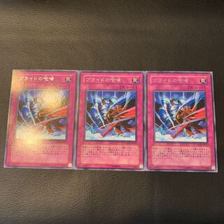 プライドの咆哮 R