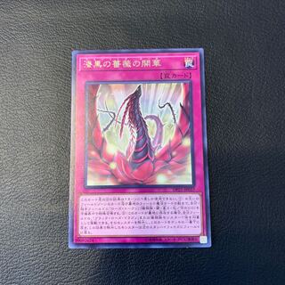 漆黒の薔薇の開華 R