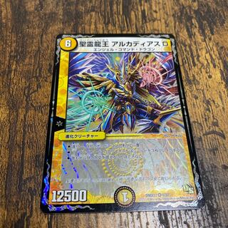 聖霊龍王 アルカディアスD