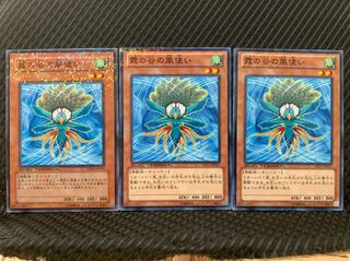 【ぽぽたん】遊戯王 4208 霞の谷の風使い 3枚 ノーマル DT