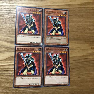 翻弄するエルフの剣士 N