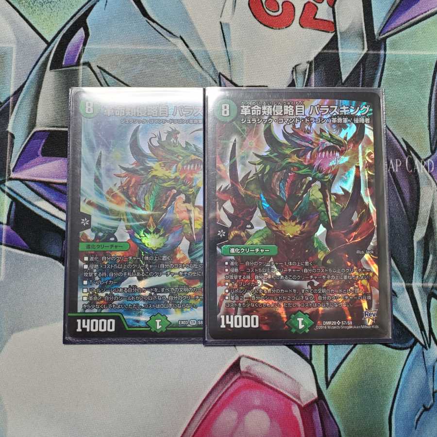 革命類侵略目 パラスキング