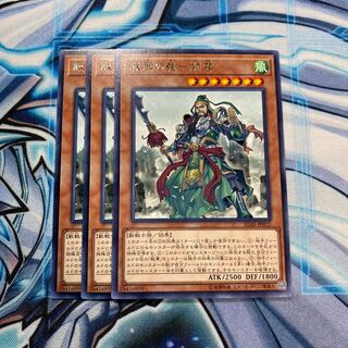 戦華の義-関雲 R