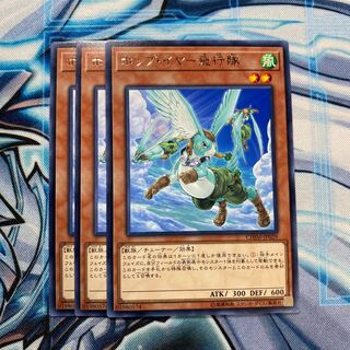 ホップ・イヤー飛行隊 R