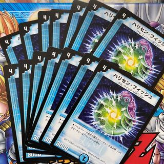 Harrison's fish (Gasteropelecidae spp.)