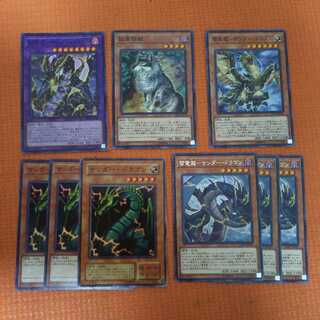 超雷龍-サンダー・ドラゴン 孤高除獣 雷鳥 雷電 サンダードラゴン