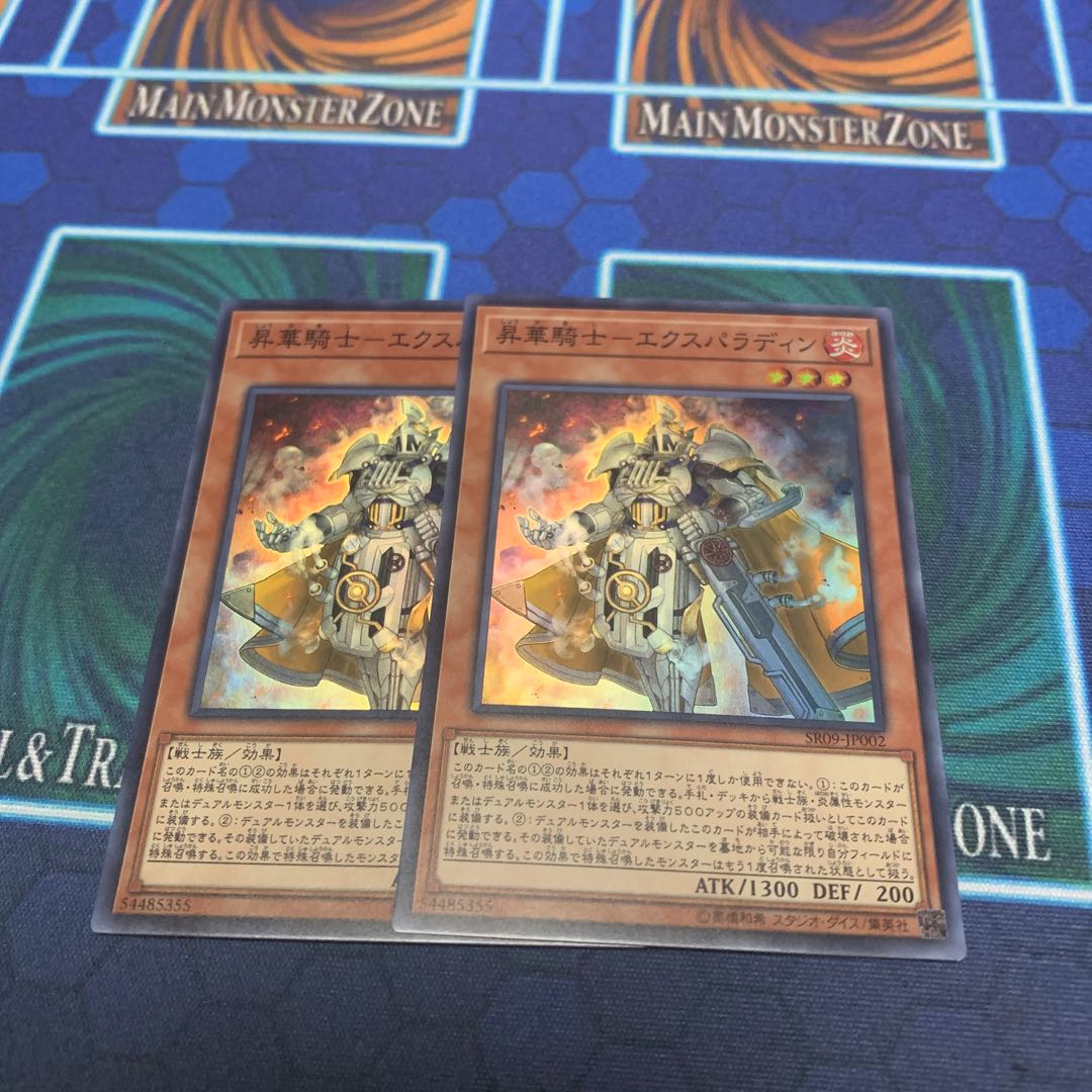 昇華騎士-エクスパラディン