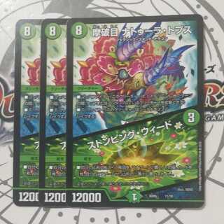 摩破目 ナトゥーラ・トプス｜ストンピング・ウィード