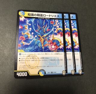 知識の精霊ロードリエス　3枚