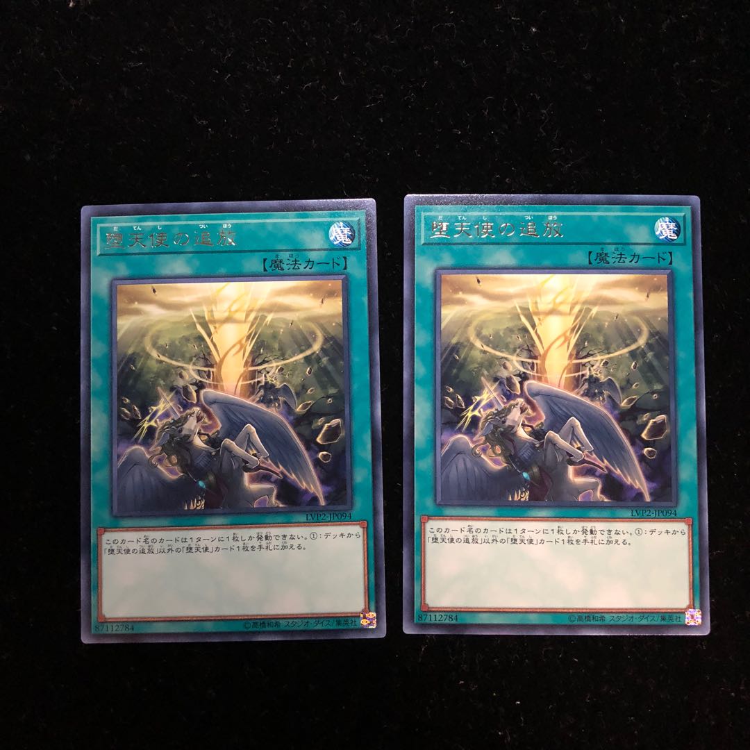 遊戯王 堕天使の追放 R2枚セット