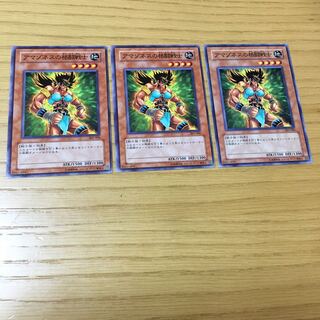 アマゾネスの格闘戦士 N 3点セット