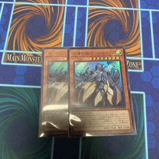 教導の騎士フルルドリス