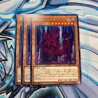 天威龍-ヴィシュダ R