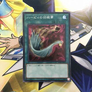 ハーピィの羽根帚 SE 1枚