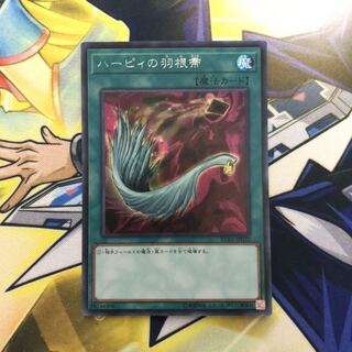 ハーピィの羽根帚 SE 1枚