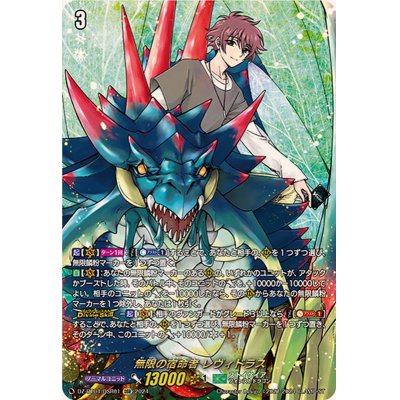 Levydorus the Infinite Kismetter [DSR] {DZ-BT04/DSR01} [Stoikeia