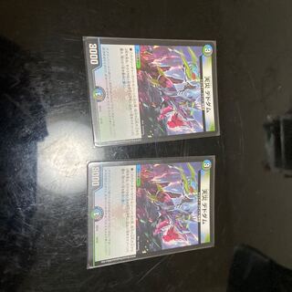 天災 デドダム2枚