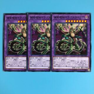 捕食植物ドラゴスタペリア ×3【 遊戯王 ・プレイ用】ノーマル