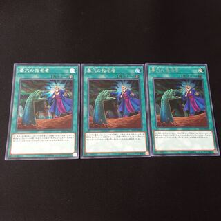 墓穴の指名者 SE シークレットレア 3枚 fdkj1920