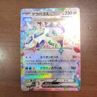 Terrapagos ex RR 088/102