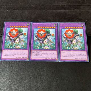 ナチュル・ガイアストライオ R