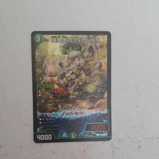 料理犬のヴィヤンドゥ VR 22/89