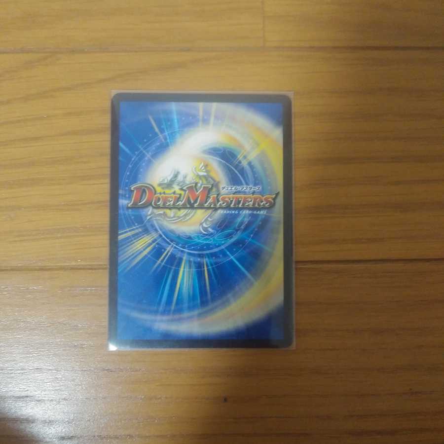 セール! 「絶対の楯騎士」 +緑地銀ダッカル